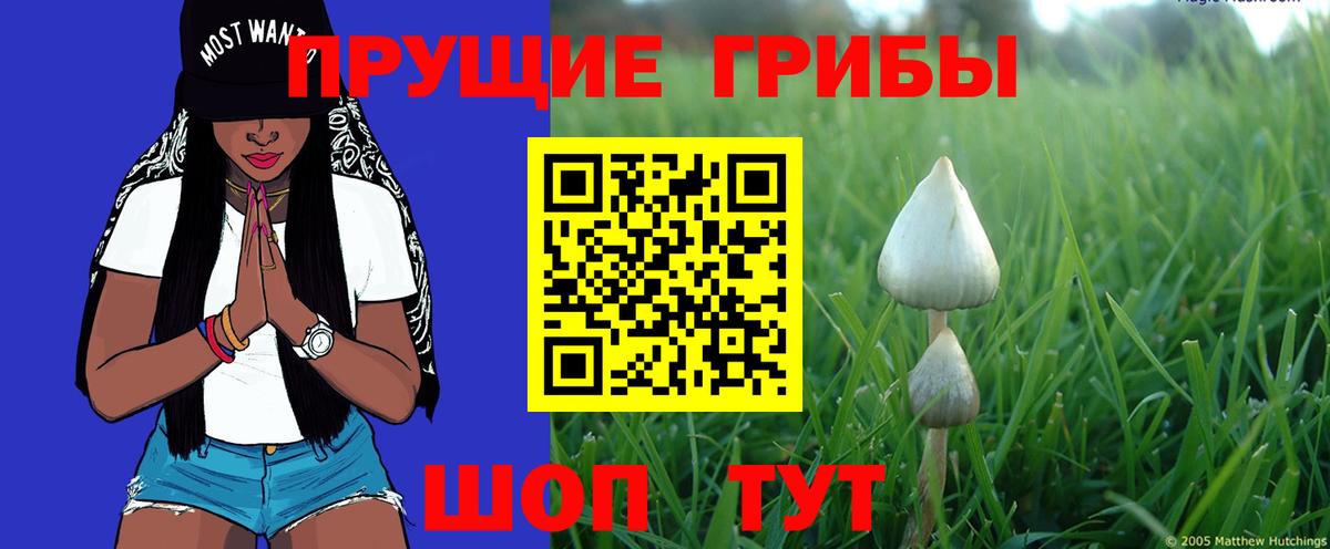 Галлюциногенные грибы ЛСД  Вход с VPN  Новозыбков  Галлюциногенные грибы Magic Shrooms 